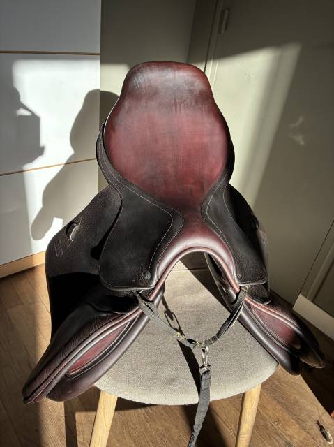 Sella mista CWD  17.5" - 2015