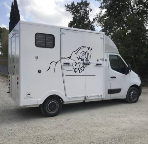 Van per Cavalli Renault Master 2013 Occasione