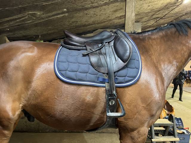 Sella da salto ostacoli Forestier  17" - 2020