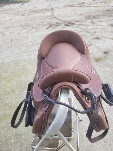 Bareback   14.5" - 2025