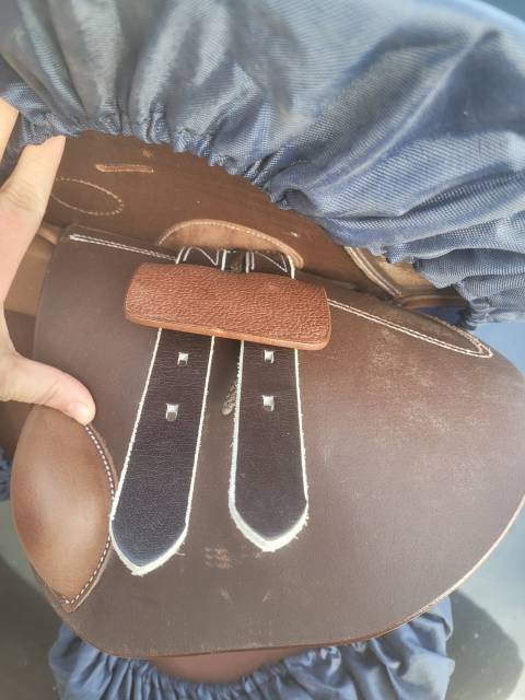 Bareback   14.5" - 2025