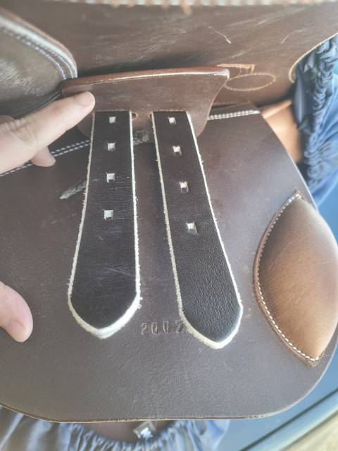 Bareback   14.5" - 2025