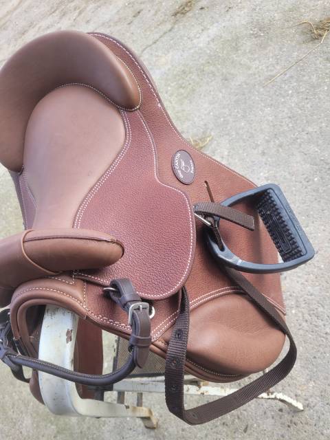 Bareback   14.5" - 2025