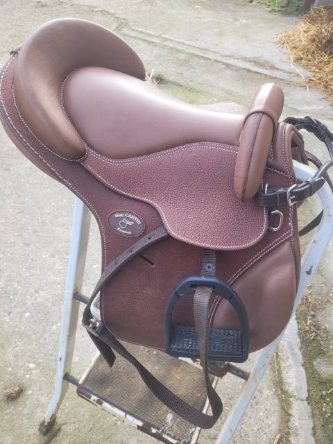 Bareback   14.5" - 2025