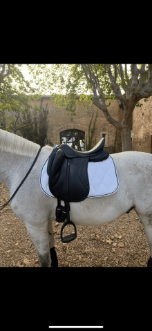 Sella da dressage  Selle anglaise  18" - 2024