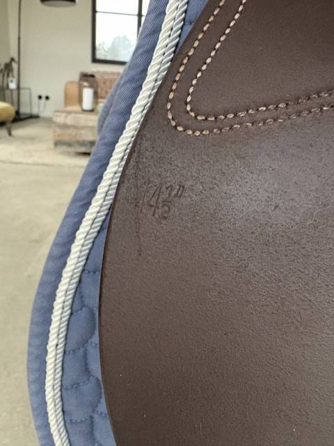 Sella Junior / Sella Pony  Guy Cantin Évolution  14.5" - 2023