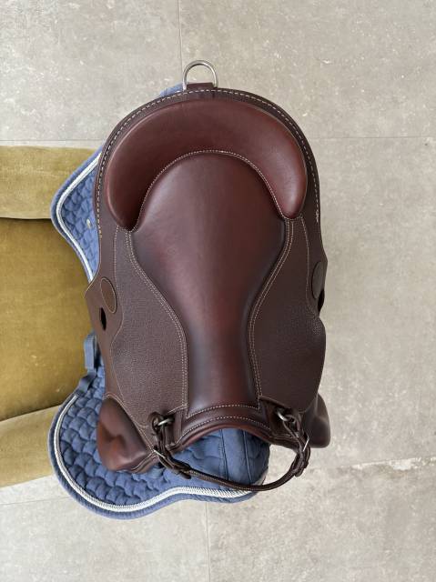 Sella Junior / Sella Pony  Guy Cantin Évolution  14.5" - 2023