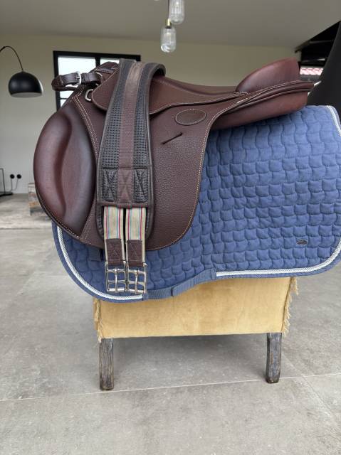 Sella Junior / Sella Pony  Guy Cantin Évolution  14.5" - 2023