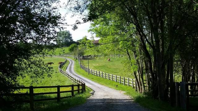 Proprietà equestre In vendita Orne