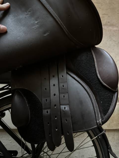 Sella da salto ostacoli Eric Thomas  17.5" - 2024