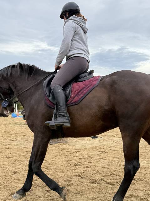 Sella mista Antarès  17" - 2021