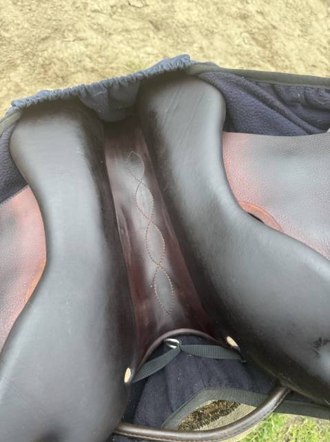 Sella mista Antarès  17" - 2021