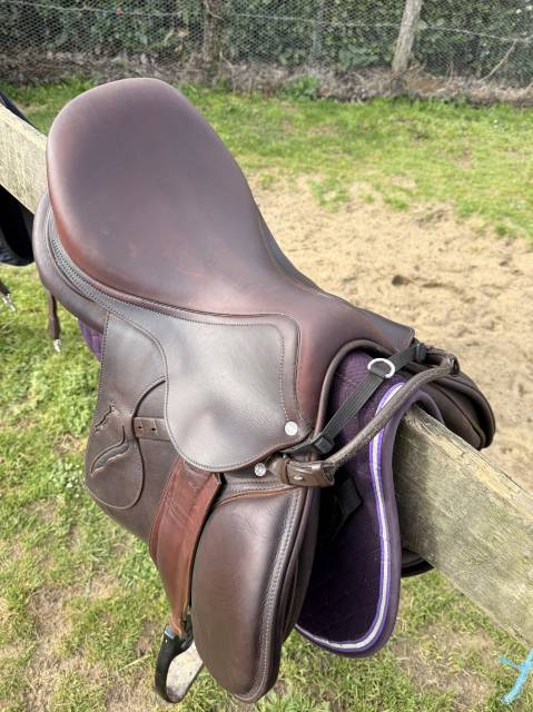 Sella mista Antar&egrave;s  17" - 2021