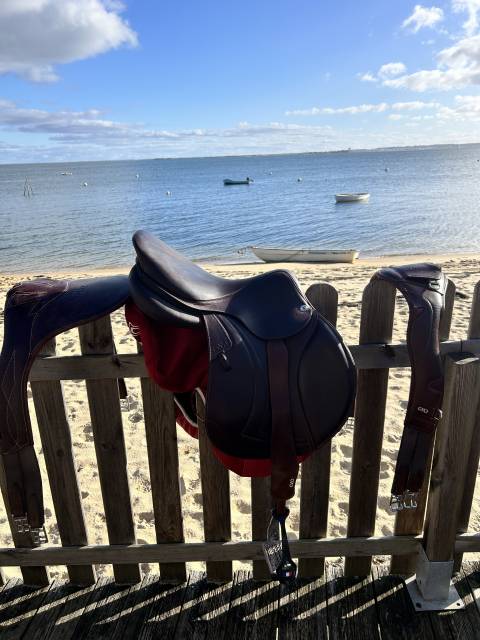 Sella da salto ostacoli CWD  17.5" - 2024