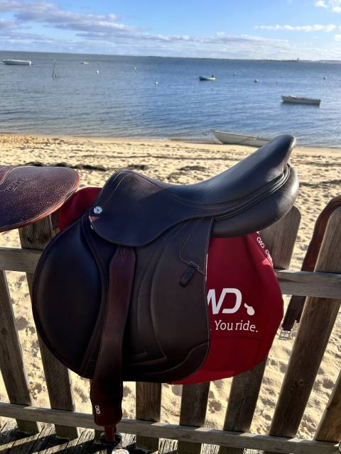 Sella da salto ostacoli CWD  17.5" - 2024