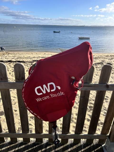 Sella da salto ostacoli CWD  17.5" - 2024