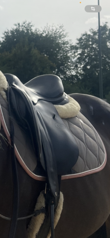 Sella mista Jump in  17" - 2015