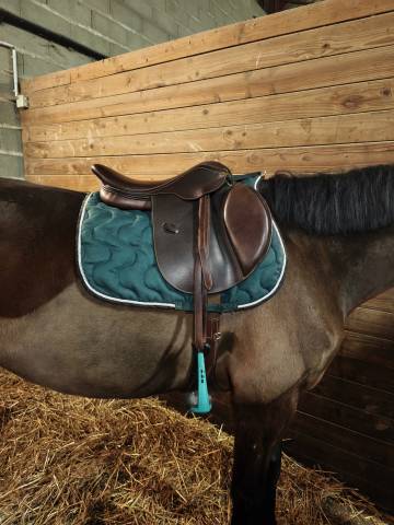 Sella mista Eric Thomas  17.5" - 2020