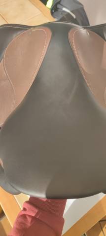 Sella da salto ostacoli Forestier  16.5" - 2023