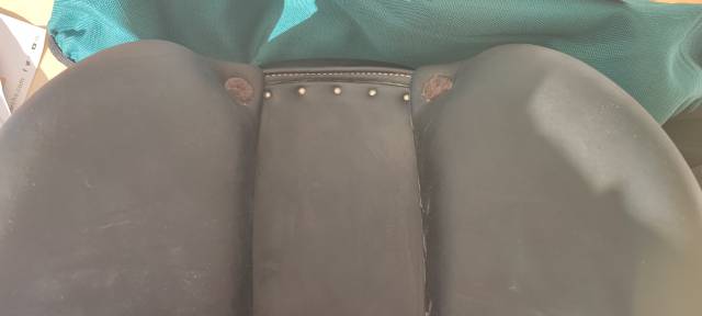 Sella da salto ostacoli Forestier  16.5" - 2023