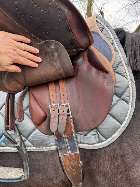 Sella da salto ostacoli Delgrange  17" - 2016