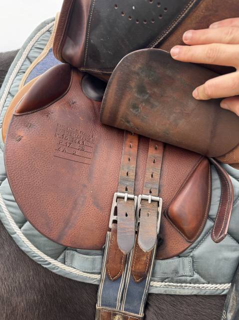 Sella da salto ostacoli Delgrange  17" - 2016