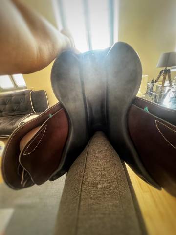 Sella mista Forestier  17" - 2024