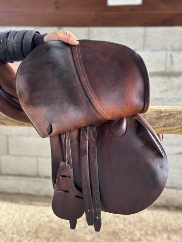 Sella da salto ostacoli Antarès  17.5" - 2011