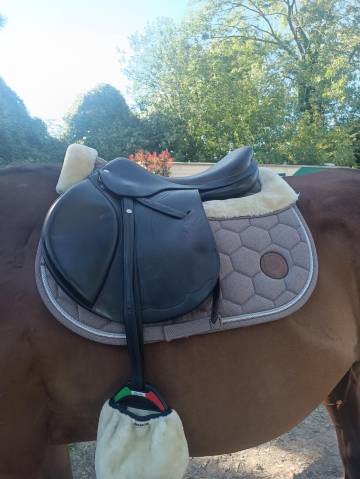 Sella mista Equipe  17.5" - 2015