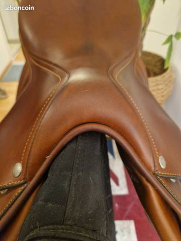 Sella da salto ostacoli Butet  17" - 2023