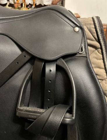 Sella mista Wintec  18" - 2022