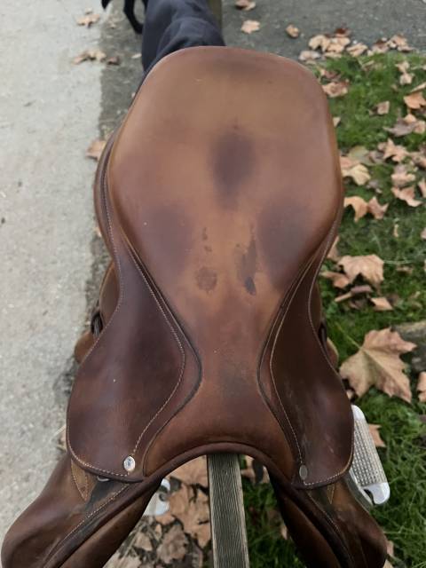 Sella da salto ostacoli Antarès  17" - 2017