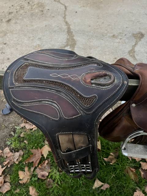 Sella da salto ostacoli Antarès  17" - 2017