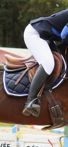 Sella da salto ostacoli Antarès  17" - 2017