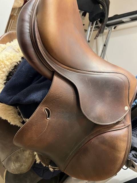 Sella da salto ostacoli Antarès  17.5" - 2012