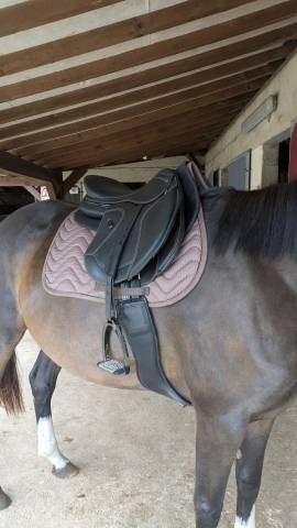 Sella mista Ikonic Comfort light mixte 17" - 2025