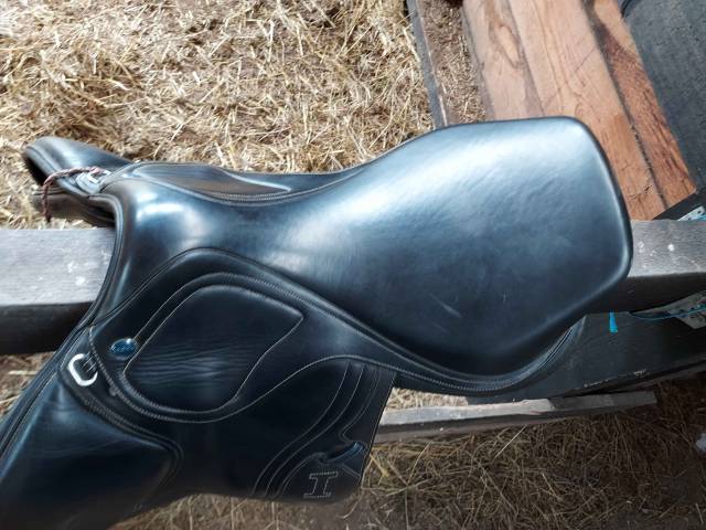 Sella mista Ikonic Evolution Line 17.5" - 2023