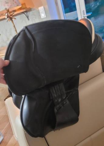 Sella da salto ostacoli Prestige Italia  17.5" - 2021