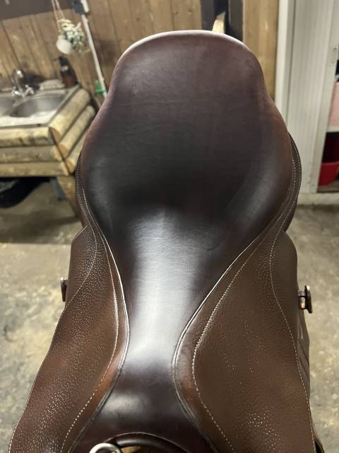 Sella da salto ostacoli GBS  17" - 2023