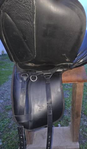 Sella da dressage Thorowgood   17.5" - 2023