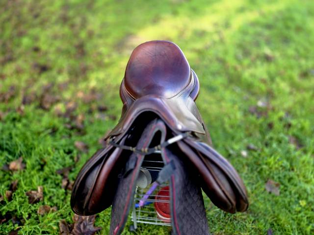 Sella da salto ostacoli Antarès  17.5" - 2018