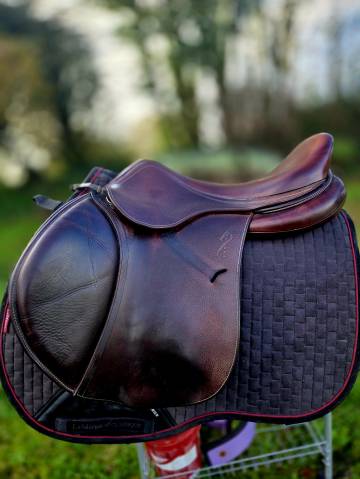 Sella da salto ostacoli Antarès  17.5" - 2018