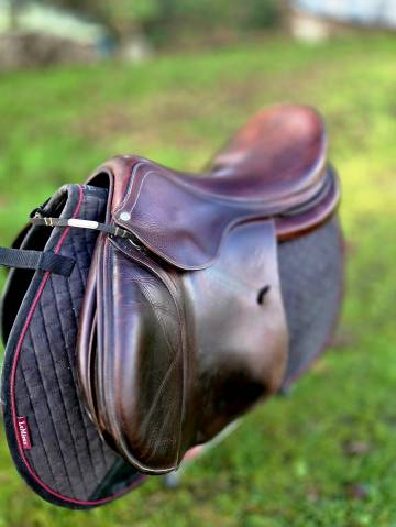 Sella da salto ostacoli Antarès  17.5" - 2018