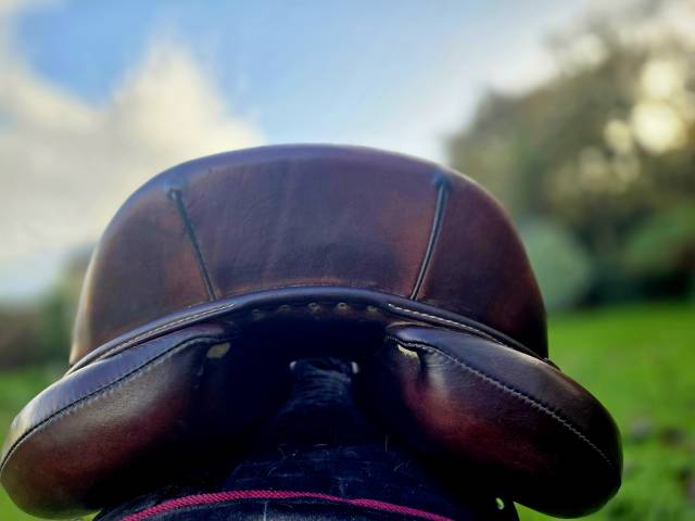 Sella da salto ostacoli Antarès  17.5" - 2018