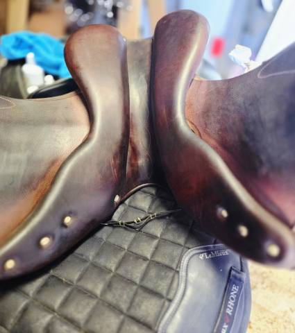 Sella da salto ostacoli Antarès  17.5" - 2018