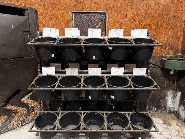  - Altra Marca - Occasione