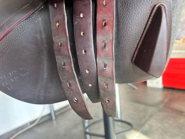 Sella da salto ostacoli CWD  17.5" - 2014