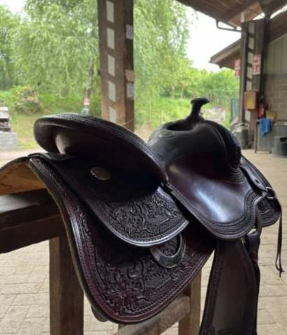 Sella western Platinun West Wood