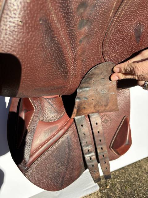 Sella da salto ostacoli CWD  15.5" - 2022