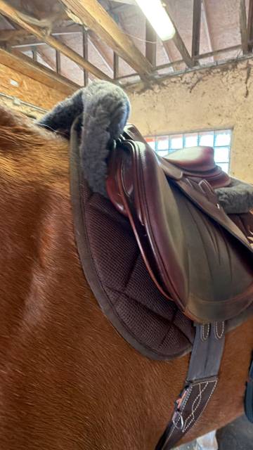 Sella da salto ostacoli Meyer Marianne  17" - 2024